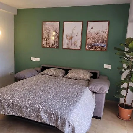 Apartment Playa